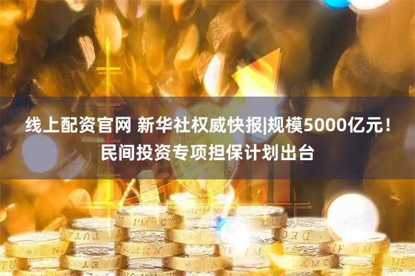 线上配资官网 新华社权威快报|规模5000亿元！民间投资专项担保计划出台