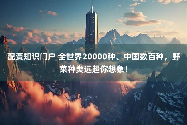 配资知识门户 全世界20000种、中国数百种，野菜种类远超你想象！