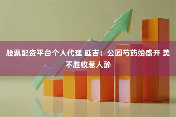 股票配资平台个人代理 延吉：公园芍药始盛开 美不胜收惹人醉
