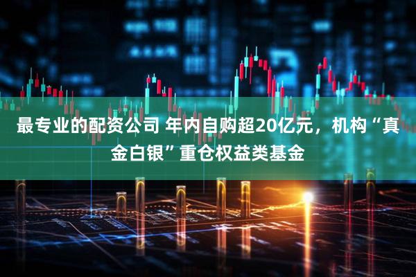 最专业的配资公司 年内自购超20亿元，机构“真金白银”重仓权益类基金